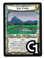 Rice Paddy